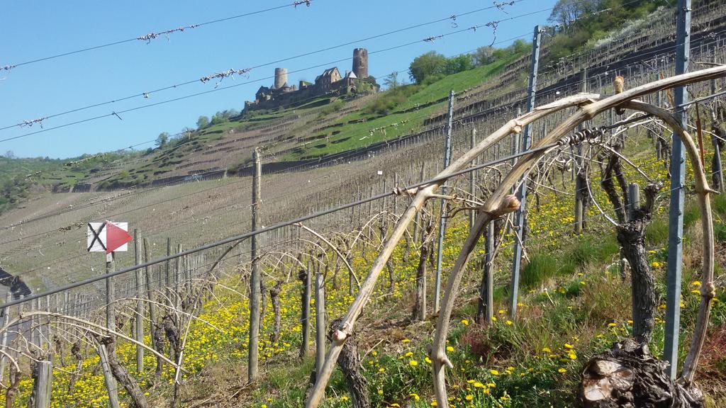 Winzerhof Brachtendorf ألكين المظهر الخارجي الصورة