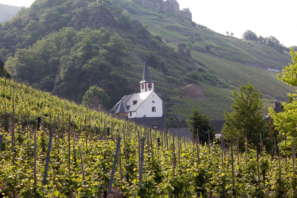 Winzerhof Brachtendorf ألكين المظهر الخارجي الصورة