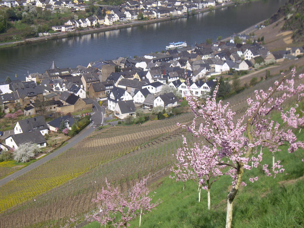 Winzerhof Brachtendorf ألكين المظهر الخارجي الصورة