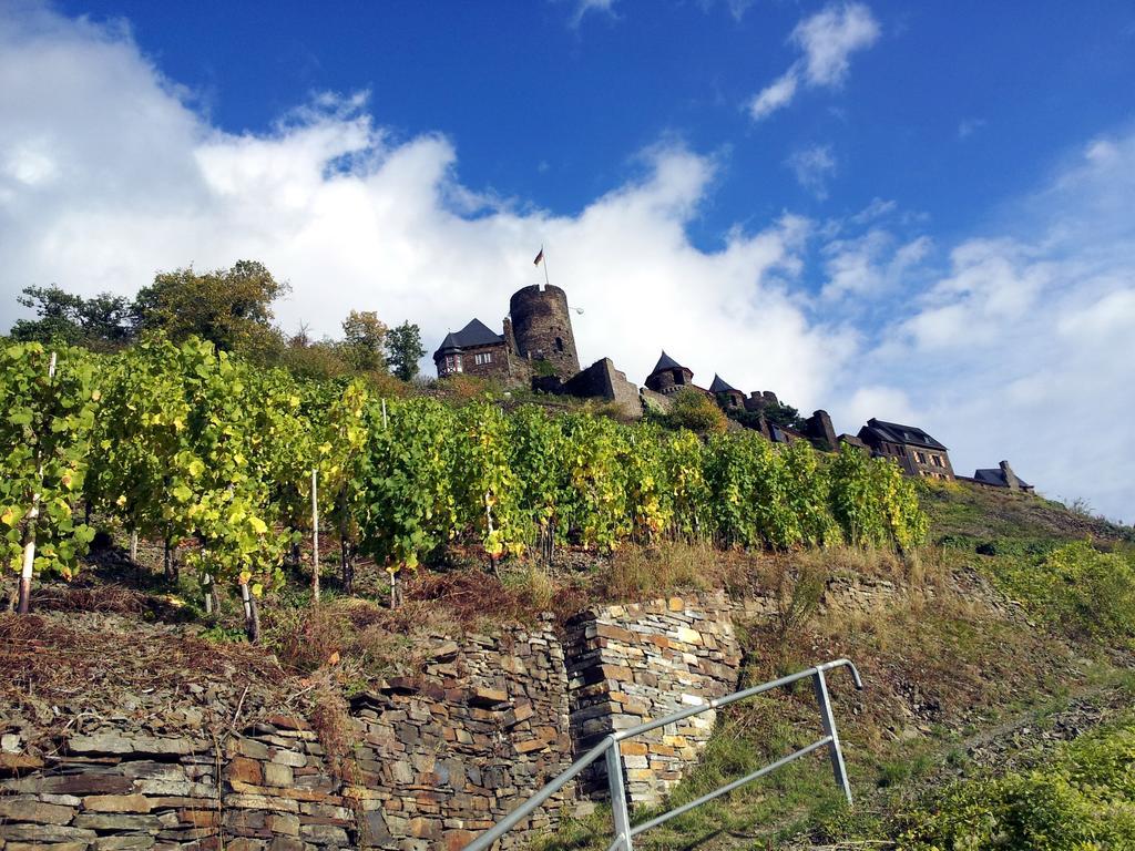 Winzerhof Brachtendorf ألكين المظهر الخارجي الصورة