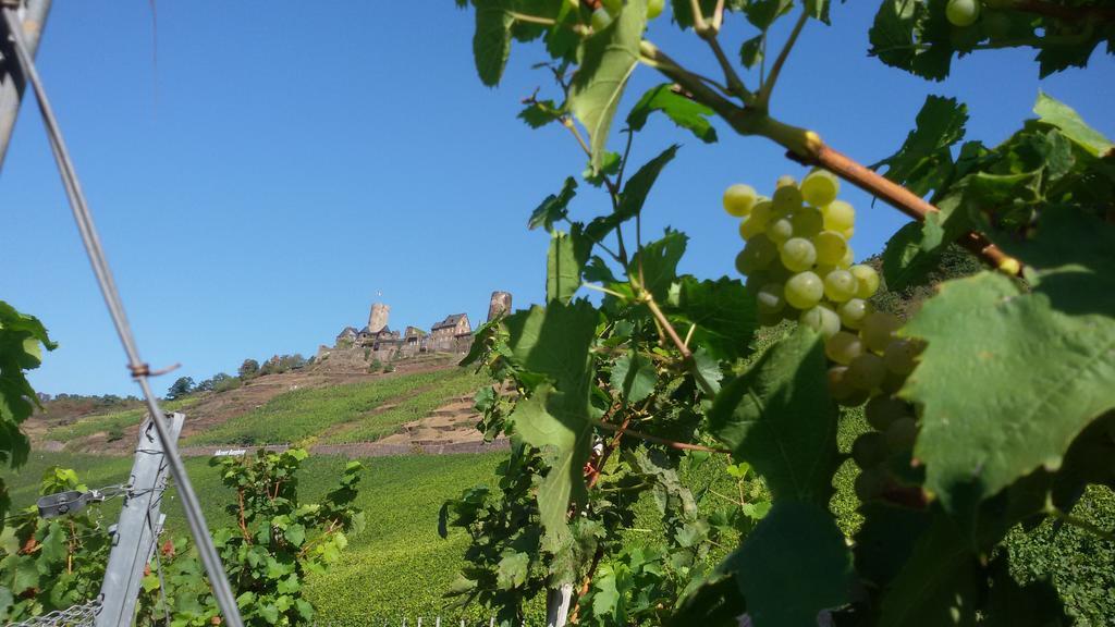 Winzerhof Brachtendorf ألكين المظهر الخارجي الصورة