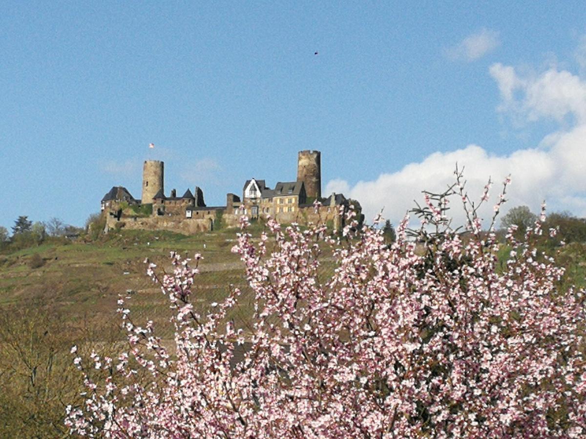 Winzerhof Brachtendorf ألكين المظهر الخارجي الصورة